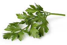 Load image into Gallery viewer, Plants in the Post/ Parsley/ Seedlings Online