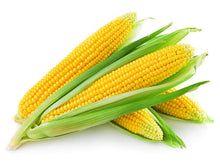 Load image into Gallery viewer, Plants in the Post/ Sweet Corn/ Seedlings Online