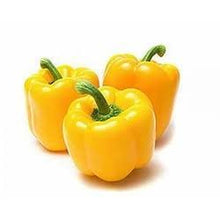 Load image into Gallery viewer, Plants in the Post/ Capsicum - Yellow/ Seedlings Online