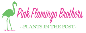 Pink Flamingo Brothers
