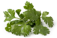 Load image into Gallery viewer, Plants in the Post/ Coriander/ Seedlings Online
