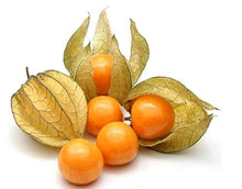 Load image into Gallery viewer, Cape Gooseberry
