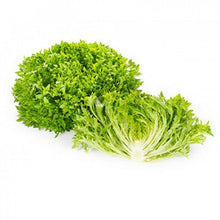 Load image into Gallery viewer, Plants in the Post/ Crispy Lettuce - Green/ Seedlings Online

